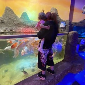 Meet your Posher, Holli